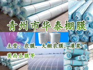 �������A̩��Ĥ�S