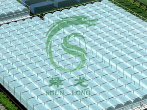 �۹��д���˴���r(n��ng)�I(y��)�b�似�g(sh��)����(w��)����