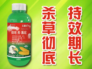 ɽ�|�������W(xu��)���޹�˾