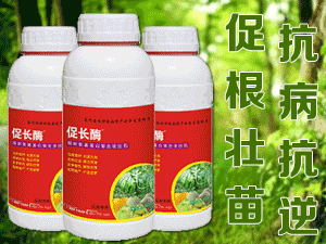 ����ʢ�ļ����ﱣ�o���޹�˾