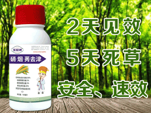 �����L(f��ng)�p�P���ﱣ�o���޹�˾