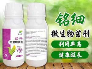 �Aֲ�ӱ�����Ƽ����޹�˾