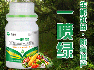 ���ϼ{������Ƽ����޹�˾