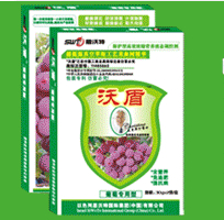 以色列思沃特國際集團