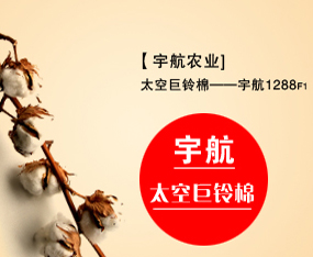 ɽ�|��r(n��ng)�I(y��)�l(f��)չ���޹�˾