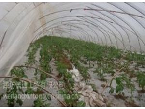 �H����ͨ���Q���޹�˾