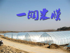 ������һ���r(n��ng)Ĥ�S