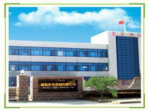 �H�����A�������޹�˾