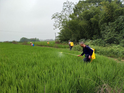 農(nóng)藥代理商需掌握的經(jīng)營策ç?.jpg 農(nóng)藥代理商需掌握的經(jīng)營策ç?.jpg