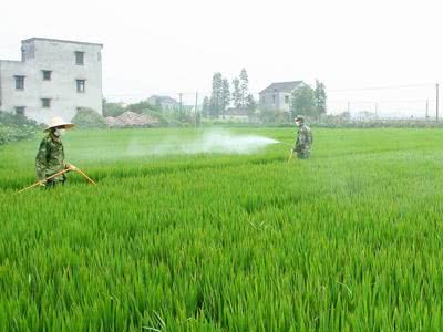 抓住農資代理商助力廠家發(fā)å±?.jpg 抓住農資代理商助力廠家發(fā)å±?.jpg