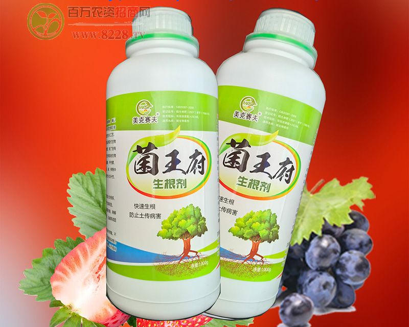 �������S�����΢�������